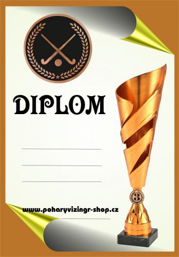 Pozemn� hokej diplom A4 �.6