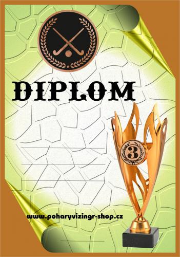 Pozemn� hokej diplom A4 �.3