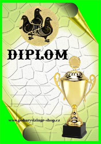 Holubi diplom A4 �.19