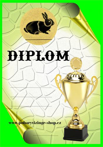 Kr�l�k diplom A4 �.17