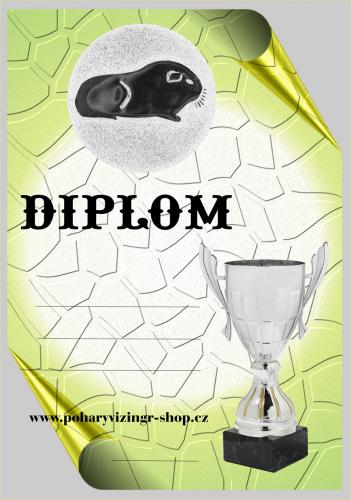 Mor�e diplom �.13