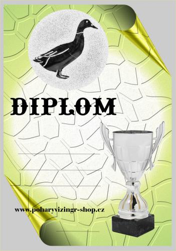 Kachna diplom A4 �.11