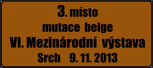Fotbal figurka F24-830B - zv�t�it obr�zek