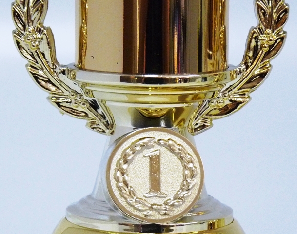 Kon� trofeje 25-F149 - zv�t�it obr�zek