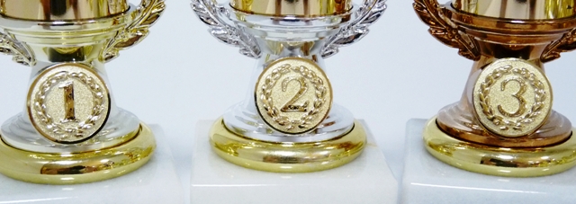 Karty trofeje 33-P018 - zv�t�it obr�zek