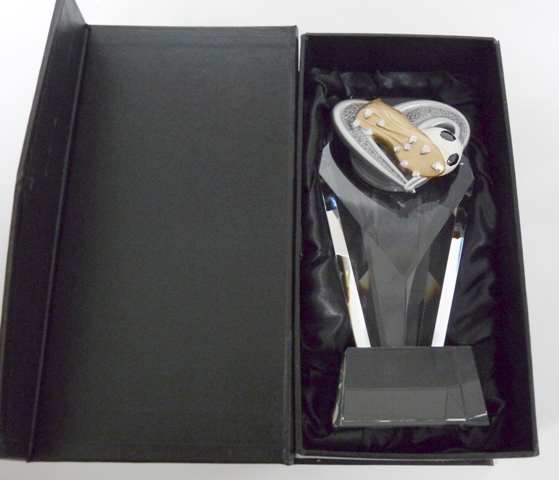 Fotbal sklo W601-2505 - zv�t�it obr�zek