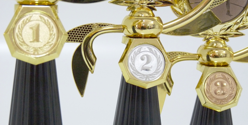 H�zen� �ENY 46-8 - zv�t�it obr�zek