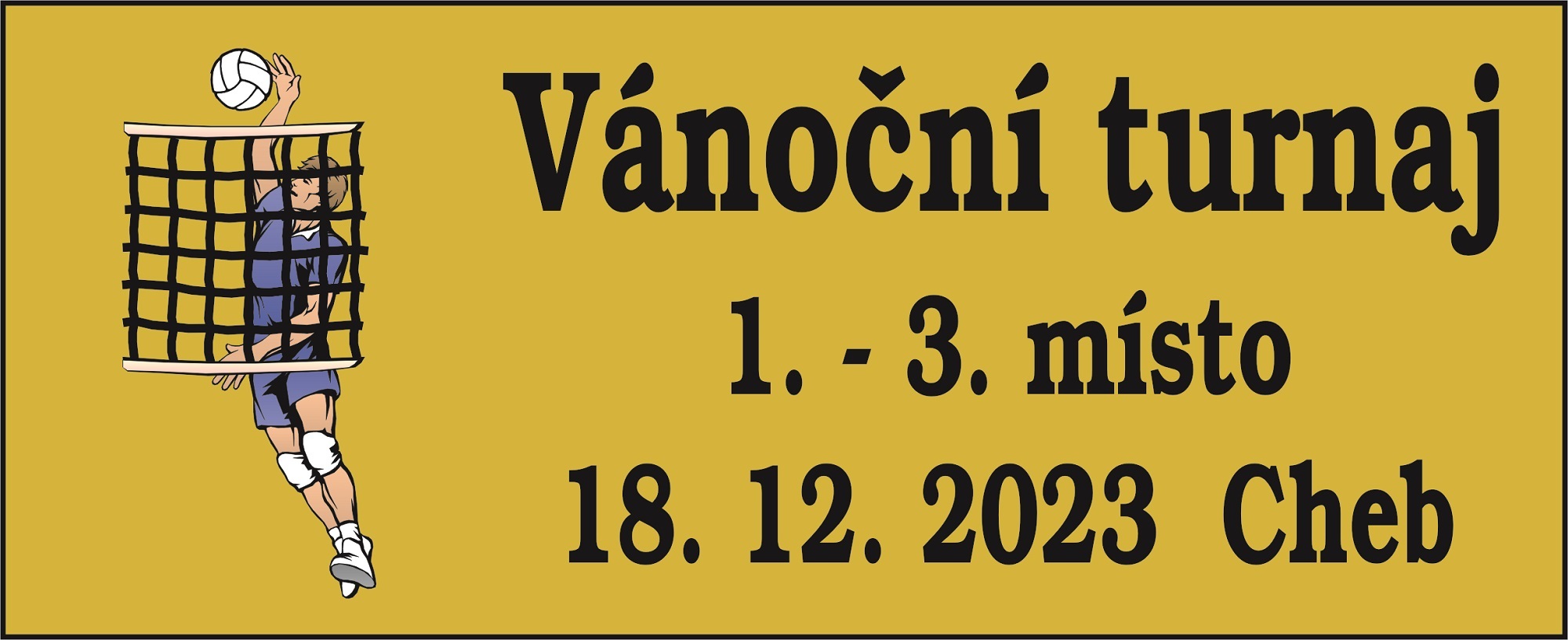 Volejbal poh�ry s logem 405-L248 - zv�t�it obr�zek