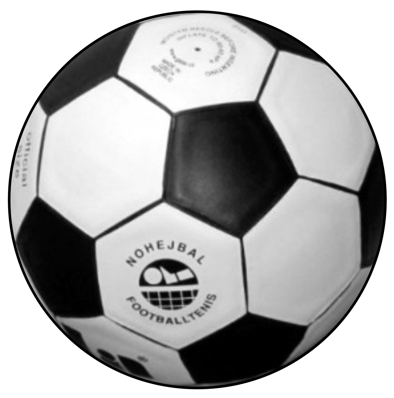 Nohejbal sklo S1-L224 - Embl�m viz.dal�� foto v cen� - zv�t�it obr�zek