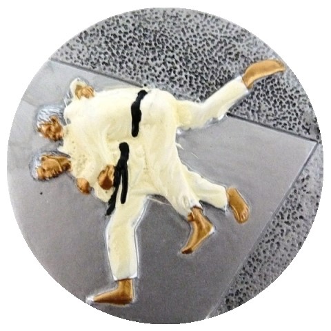 Judo sklo S8-K004 - Embl�m viz.dal�� foto v cen� - zv�t�it obr�zek