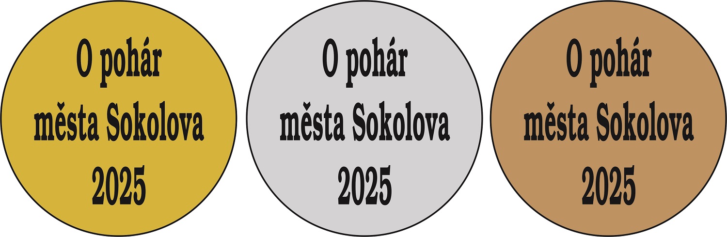 Volejbal medaile DI5003-K007 - zv�t�it obr�zek