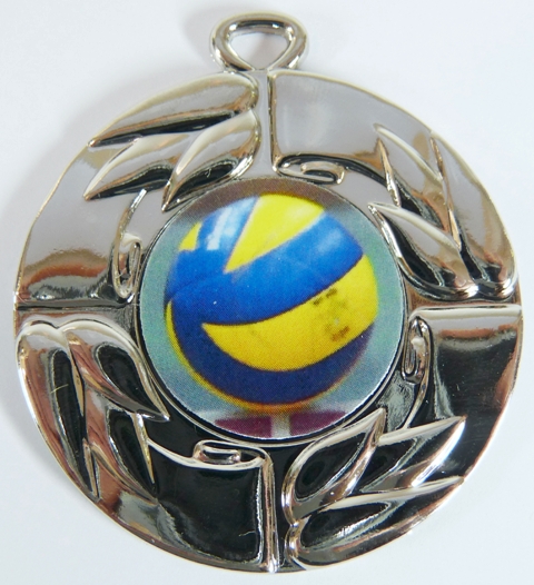 Volejbal medaile D 28C-205 - zv�t�it obr�zek