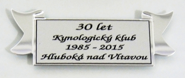 Plav�n� sklo W202-4-2516 - zv�t�it obr�zek