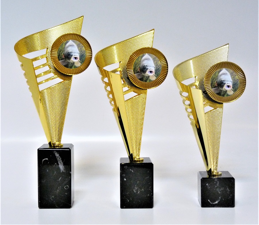 Trofej K20 - zv�t�it obr�zek